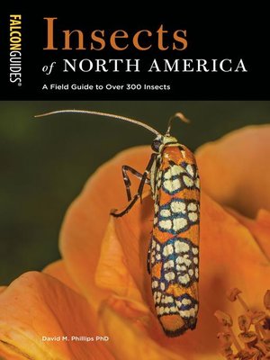 cover image of Insects of North America